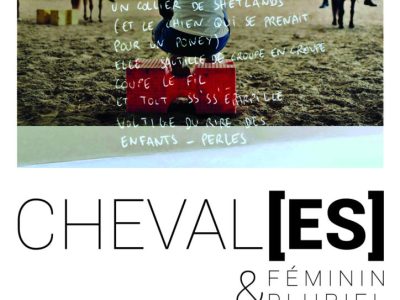 [Expo] CHEVAL[ES] féminin & pluriel
